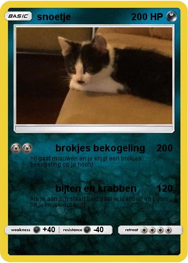 Pokemon snoetje