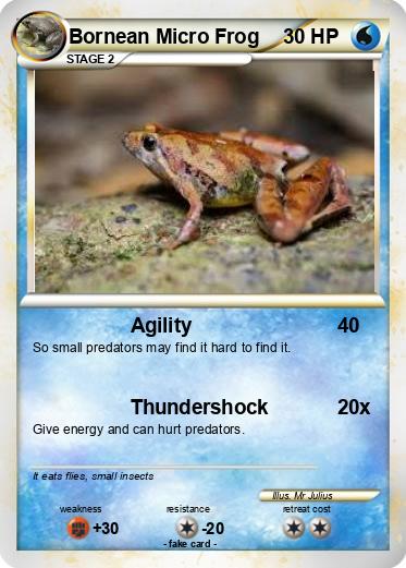 Pokemon Bornean Micro Frog