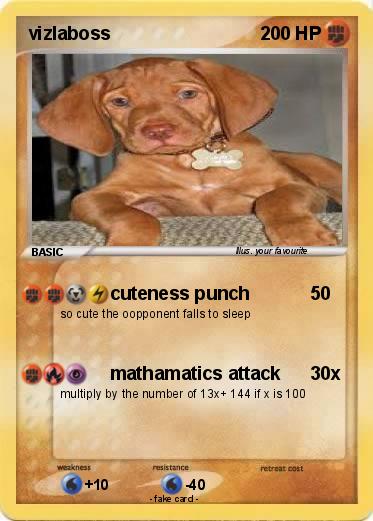 Pokemon vizlaboss