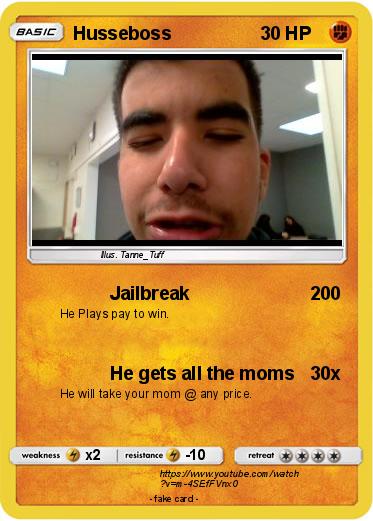 Pokemon Husseboss Pokemon Husseboss