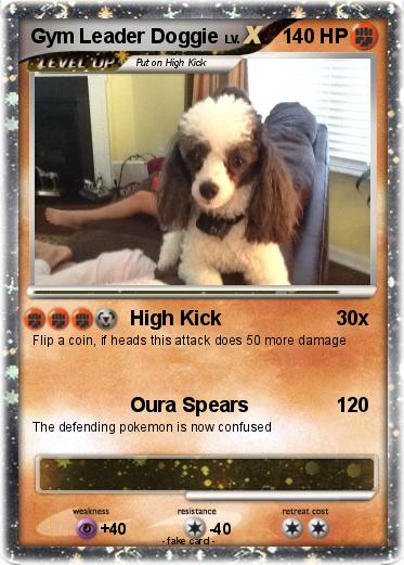 Pokemon Gym Leader Doggie