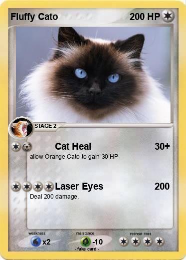 Pokemon Fluffy Cato