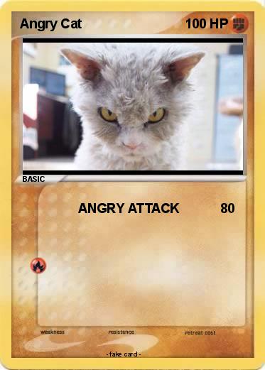 Pokemon Angry Cat