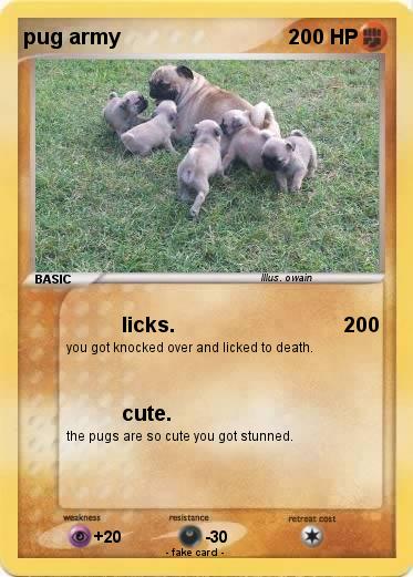 Pokemon pug army