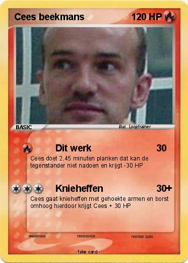 Pokemon Cees beekmans