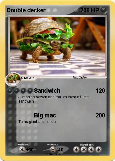 Pokemon Double decker