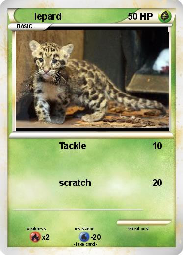Pokemon lepard