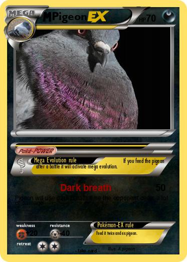 Pokemon Pigeon