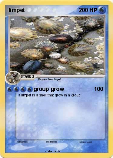 Pokemon limpet