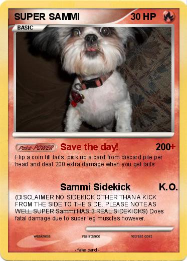 Pokemon SUPER SAMMI