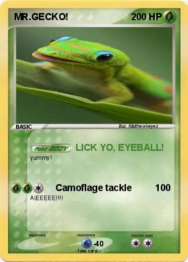 Pokemon MR.GECKO!