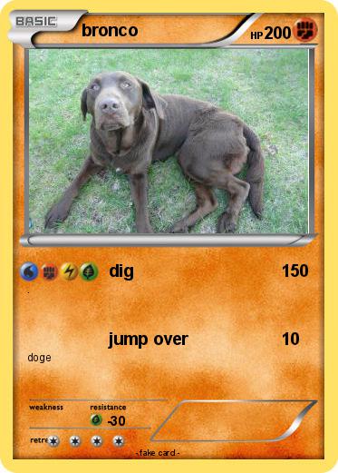 Pokemon bronco