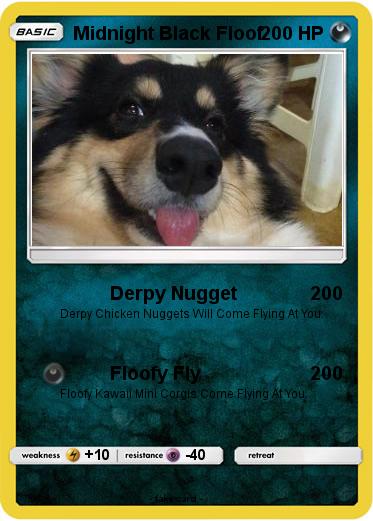 Pokemon Midnight Black Floof