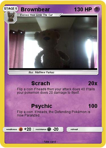 Pokemon Brownbear