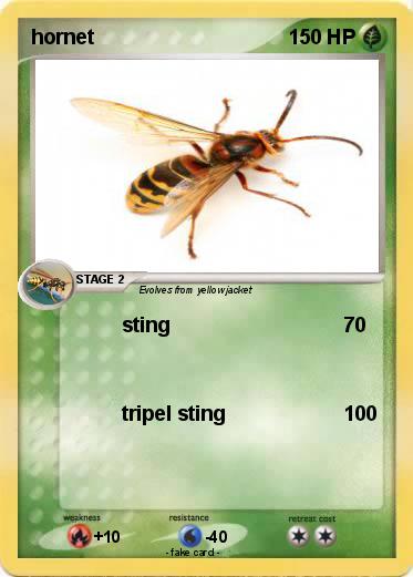 Pokemon hornet
