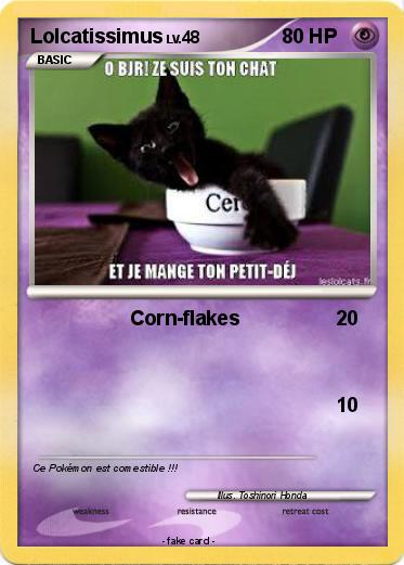 Pokemon Lolcatissimus