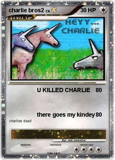 Pokemon charlie bros2