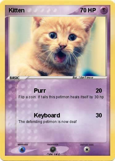 Pokemon Kitten