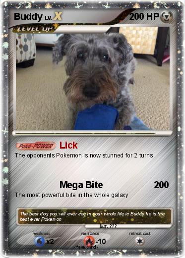 Pokemon Buddy