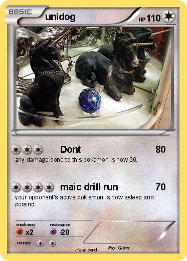 Pokemon unidog