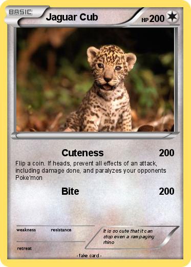 Pokemon Jaguar Cub