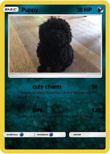 Pokemon Puppy