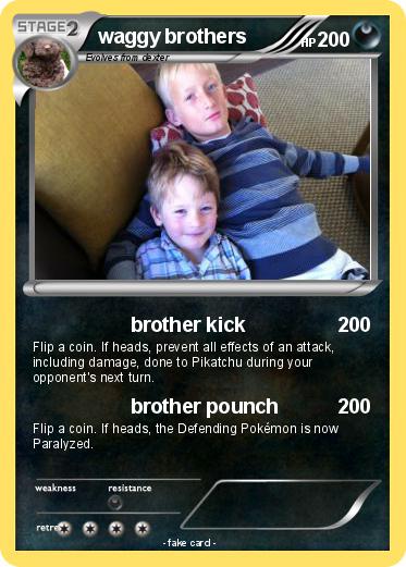 Pokemon waggy brothers