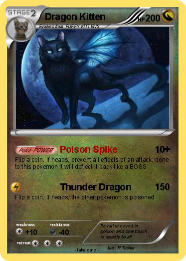 Pokemon Dragon Kitten