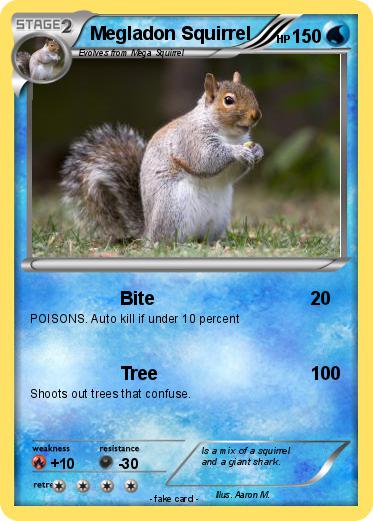 Pokemon Megladon Squirrel