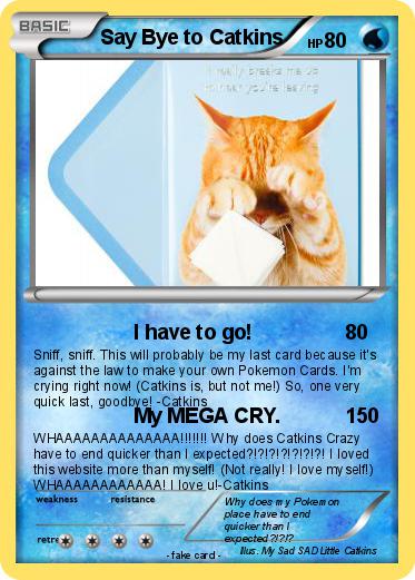 Pokemon Say Bye to Catkins