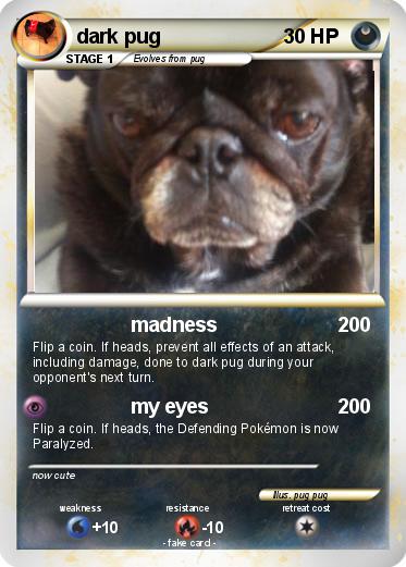 Pokemon dark pug