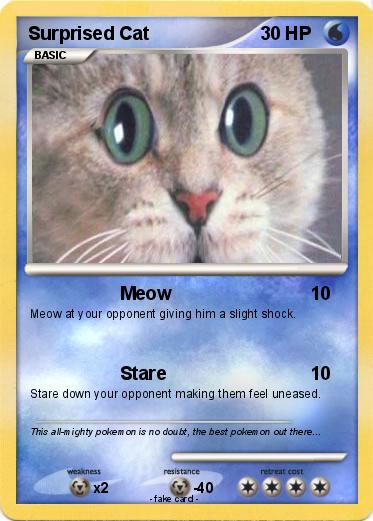 Pokemon Surprised Cat