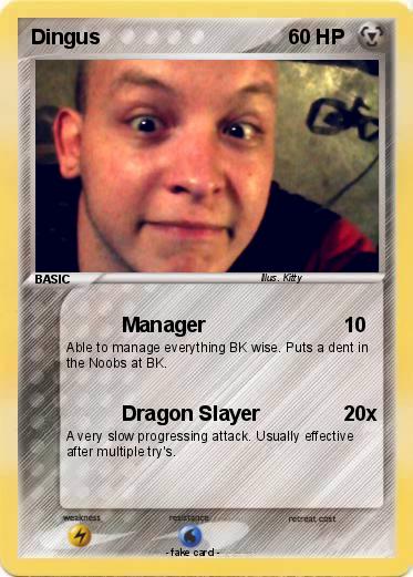 Pokemon Dingus