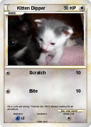 Pokemon Kitten Dipper