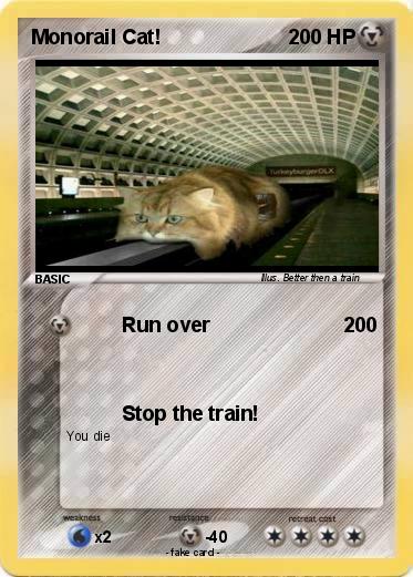 Pokemon Monorail Cat!