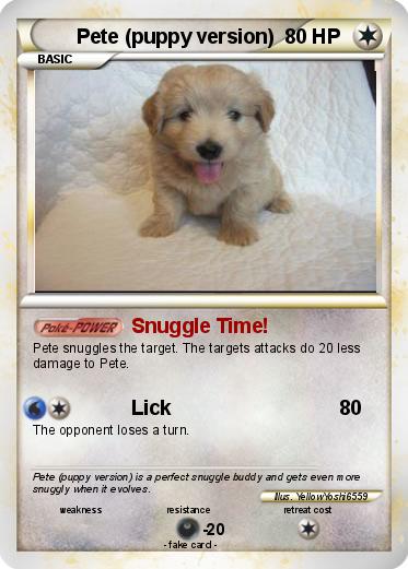 Pokemon Pete (puppy version)