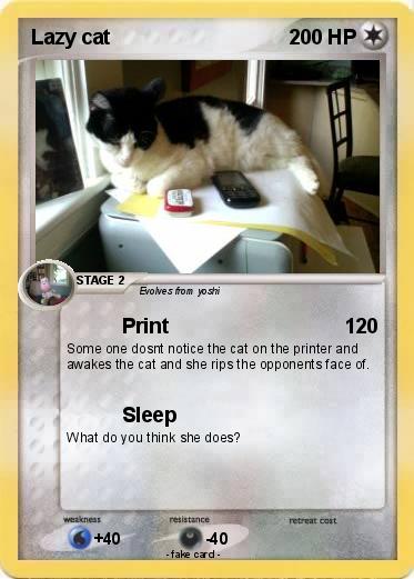 Pokemon Lazy cat