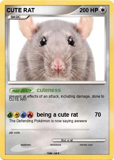 Pokemon CUTE RAT