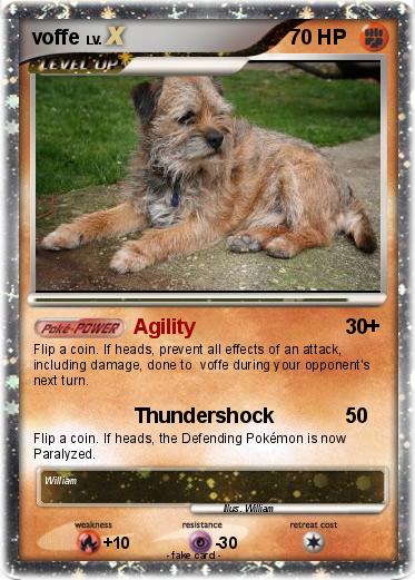 Pokemon voffe