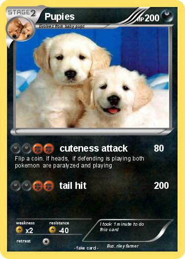 Pokemon Pupies