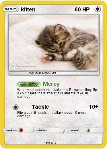 Pokemon kitten