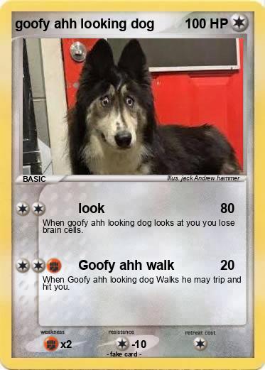 Pokemon goofy ahh looking dog