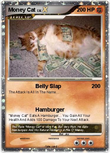 Pokemon Money Cat
