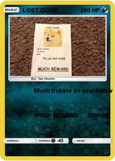 Pokemon LOST DOGE