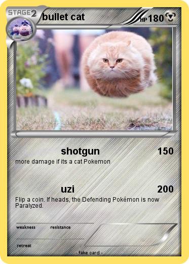 Pokemon bullet cat