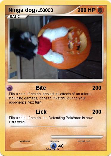 Pokemon Ninga dog