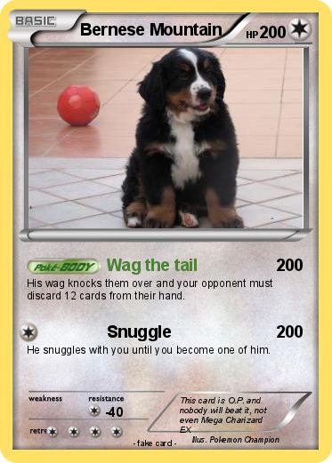 Pokemon Bernese Mountain
