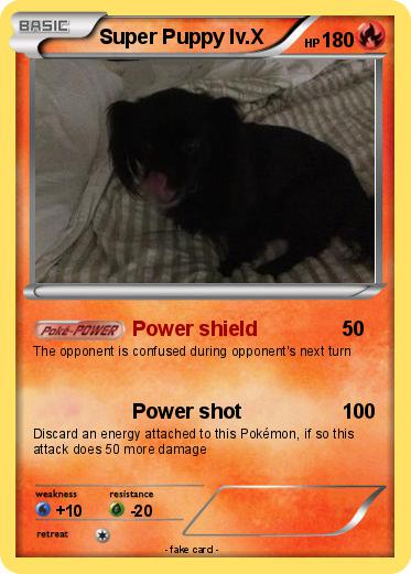 Pokemon Super Puppy lv.X