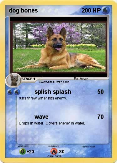 Pokemon dog bones