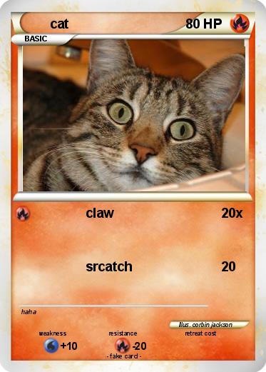 Pokemon cat